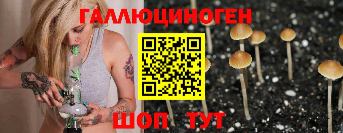 Миасс  Галлюциногенные грибы MAGIC MUSHROOMS  Вход с VPN 