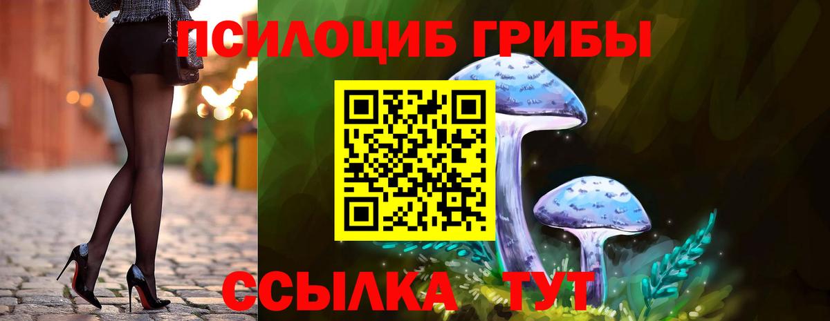 Галлюциногенные грибы мицелий Миасс